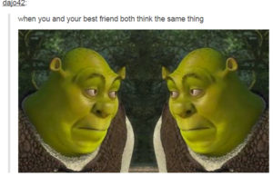 Shrek Memes: How Shrek Achieved a Strange & Perverted Online Existence -  Thrillist